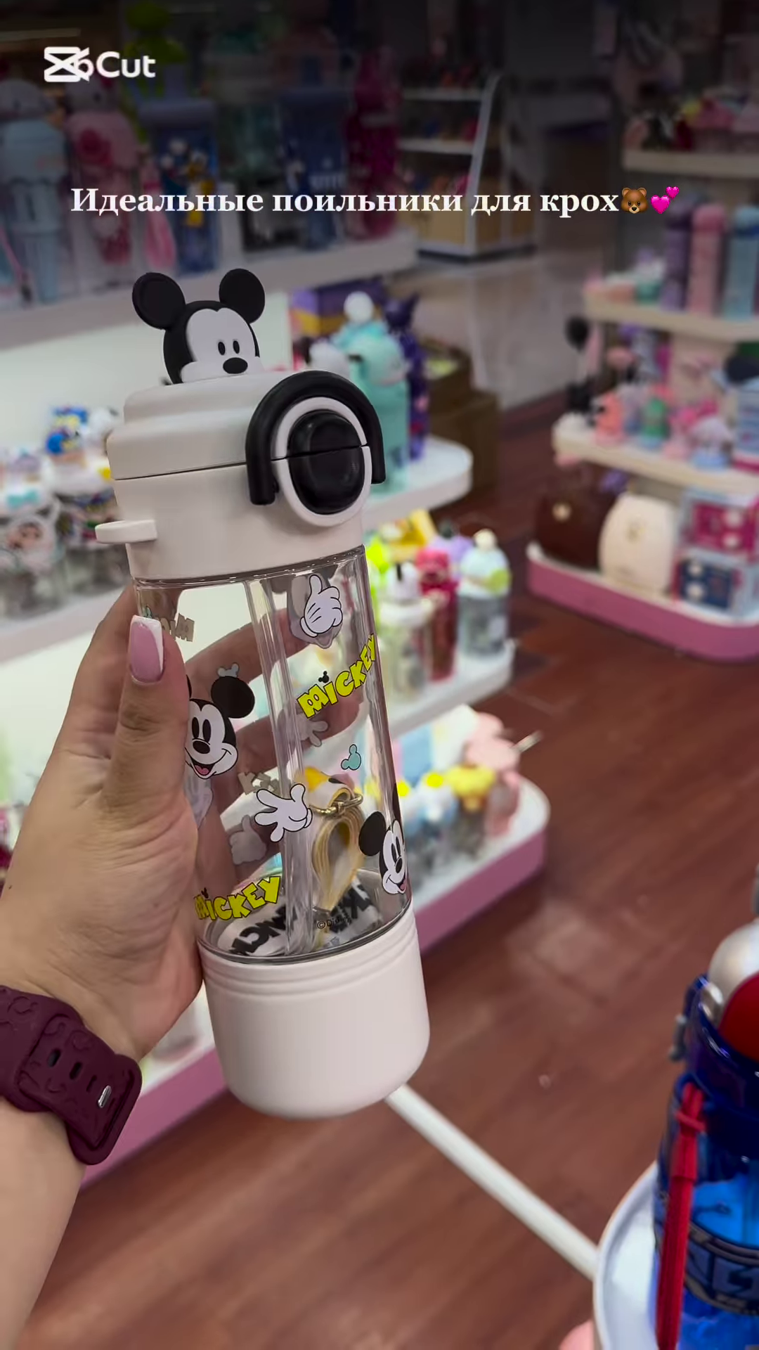 Adorable Character-Themed Kids’ Drinkware Collection: Cute Pink Sippy Cups and Water Bottles for Toddlers