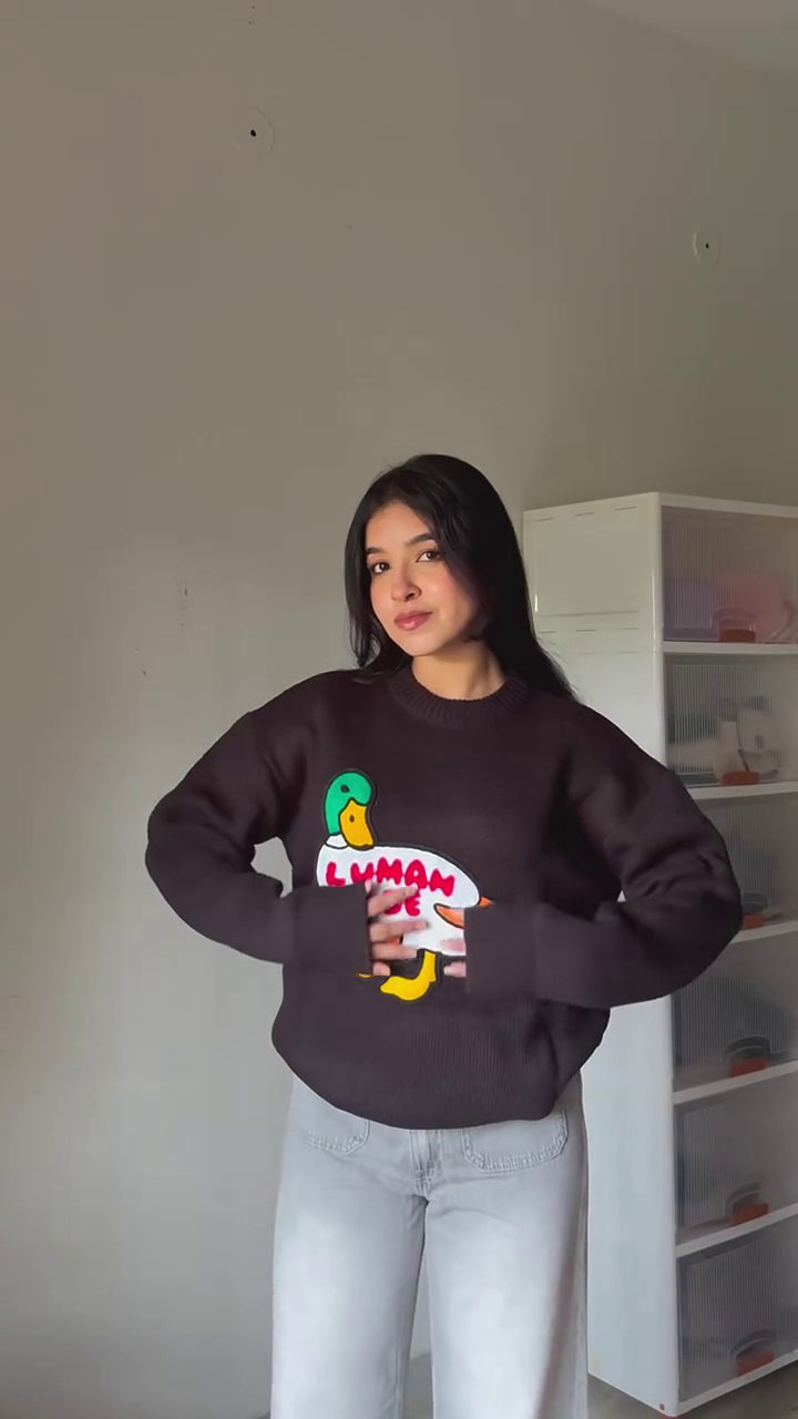 “Cute Duck Graphic Knit Sweater – Cozy Casual Winterwear in Multiple Colors & Sizes (XXS–XXL)”