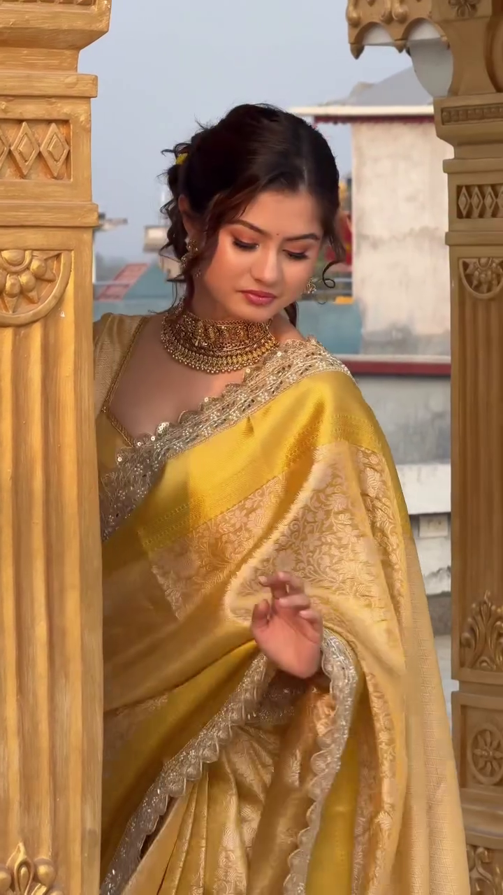 Royal Golden Banarasi Silk Saree with Embroidered Border