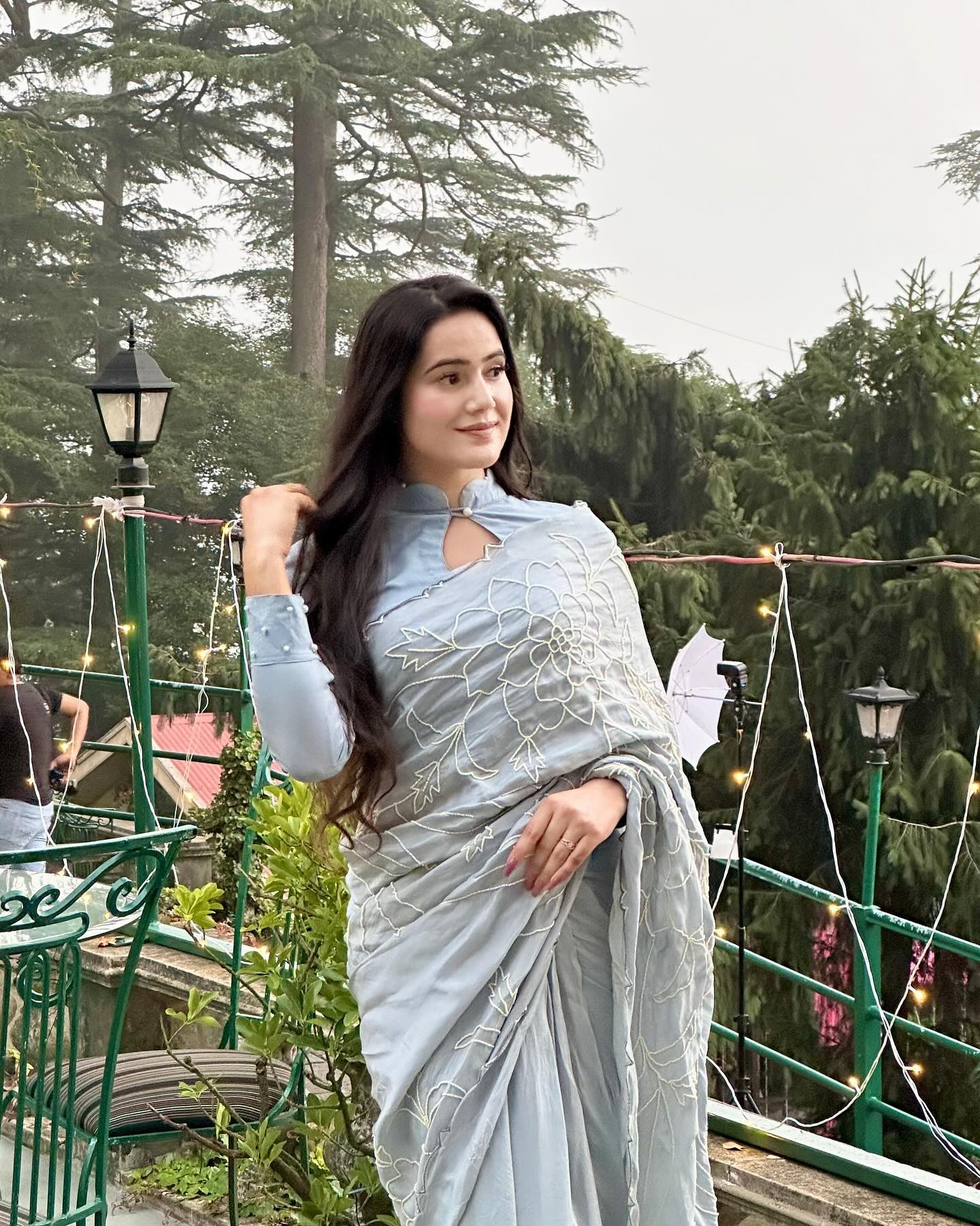 Grey Saree Organza Embroidery Cut-dana Floral With