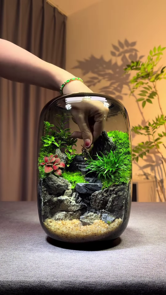 A Miniature World in a Jar: Nature’s Art at Your Fingertips