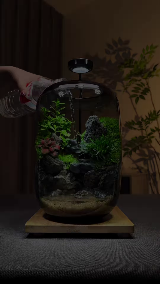 A Miniature World in a Jar: Nature’s Art at Your Fingertips